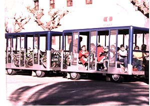 bicis.JPG (25916 bytes)
