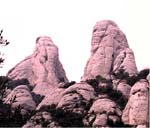 montser-elefant-p.JPG (10697 bytes)